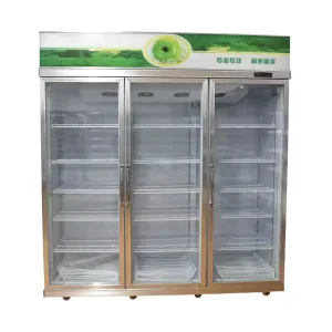 Commercial Glass Door Display Refrigerator Beverage Cooler for Supermarket Convenience Store
