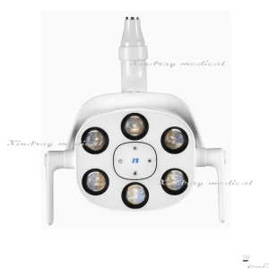 Top Quality Dental 6 LED Oral Light Operating Lamp for Dental Chair with Wholesale Price
