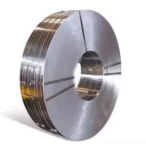 Coil and DIN Stainless Steel Plate Strip or Foil 8922
