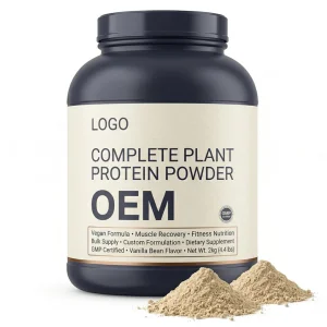 Private Label Vegan Adult Fast Lead Time Complete Plant Protein Powder Post Workout Energy Boost Flexible MOQ Bulk Wholesale