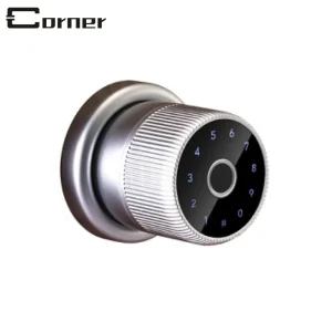 Keyless Entry Wireless Door Lock