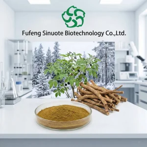 Extrato de Eleuthero (Eleutherococcus senticosus / Ginseng Siberiano) Padronizado 0.8%-1.2% Eleuterossídeos B+E Adaptógeno Natural para Resistência e Estamina ao Estresse