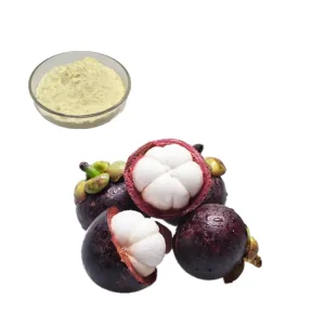 Mangosteen fruit juice powder