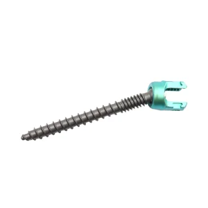 Polyaxial Pedicle Screw
