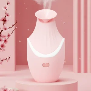Portable Face Spa Nano Mini Facial Hot Steamer Mask Face Steam Steamer Machine
