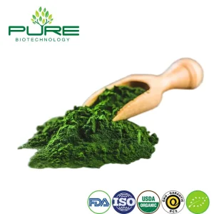 Polvo de superalimento de espirulina y chlorella orgánica para el bienestar