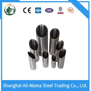 Duplex Steel Super Duplex Steel Stainless Steel Seamless Pipe and Tube Bw Pipe TP304 Tp312 Tp316 Tp317L Tp310s 904 S32205 S2507 S31803 A312 A790 En10216 GOST