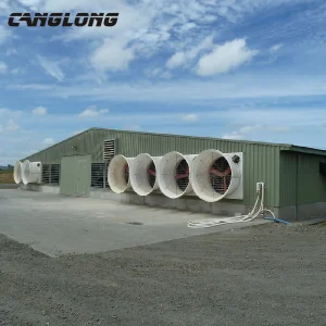 Prefabricated Steel Structure Metal Chicken Layer Poultry Farm House with Equipment