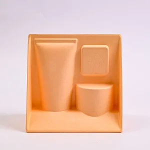 Sugarcane Pulp Molded Tray