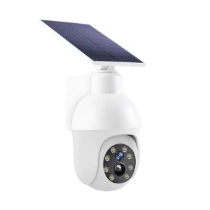 Motion Detector Lamp