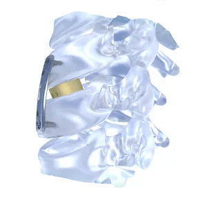 Orthopedic Implant Cervical Interbody Fusion Cage Arc-shaped Wedge-shaped PEEK Titanium Alloy OEM Fule Brand CE Certified 5-Year