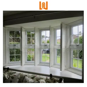 Wanjia Apartment Window UPVC Single Hung