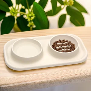 Silicone Slow Food Bowl