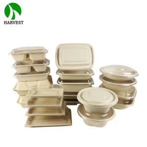 Rectangular 700 Ml Biodegradable Bagasse Sugarcane Food Box
