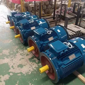 Heavy Duty High Voltage Electric Motor with Explosion Proof Design