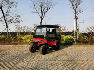 Carrinhos de Golfe Luxo