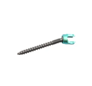 Titanium Spinal Pedicle Screw