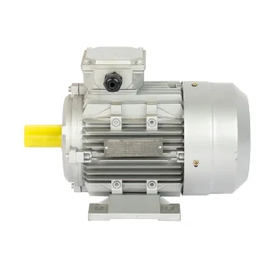 High-Efficiency Induction Motor