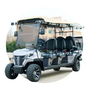 8 Seater Mobility Vehicle