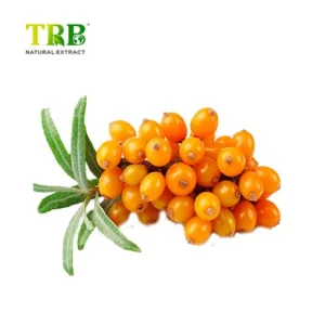 Wholesale Sea Buckthorn Extract Suppliers, Factories