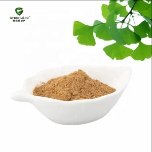 Ginkgo Biloba Extract