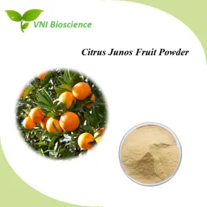 Certificado Kosher y Halal 100% Polvo de fruta de Citrus Junos con vitamina C natural