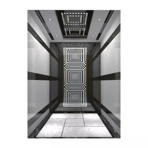 Cheap FUJI Passenger Elevator 630kg Stair Lift Elevator Lift Residential Elevator Lift