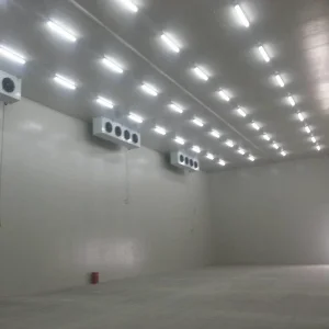 High Quality Walk in Refrigerator and Freezer Room