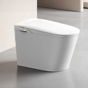 Luxury Intelligent Wc Bidet Auto Water Spray Flush Sterilization Electric Smart Toilet