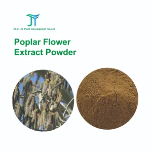 Pó de Extrato de Flor de Álamo Antibacteriano Auxiliar de Medicina Herbal Natural Pura Chinesa