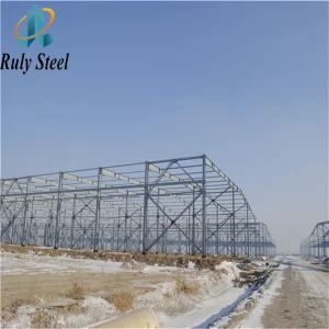 Low Cost Price Prefab Metal Structure Construction Steel Exhibition Center