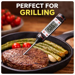 TP101 Digital Probe Meat Thermometer
