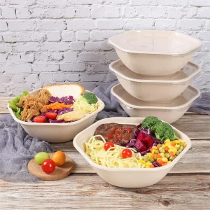 Eco Friendly Disposable Microwave Safe Camping Food Packaging Salad Bowl
