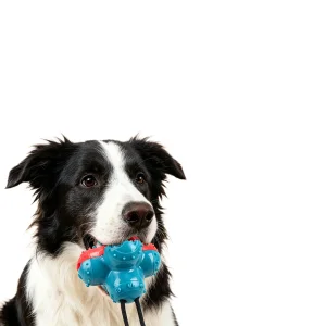 Interactive Cute Dog Suction Cup Rubber Chew Toy
