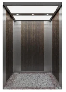 Small Machine Room Passenger Lift/ Passenger Elevator