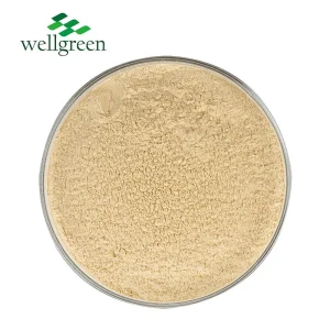 Wellgreen Panax Ginseng Powder