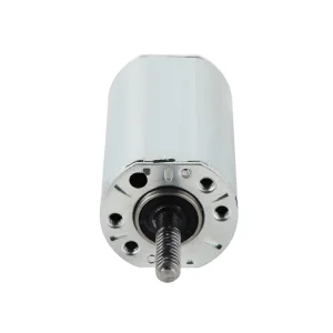 LF4580 DC Motor