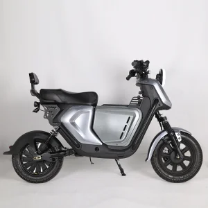 Calf Electric Bike