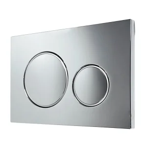 Wall Mounted Toilet Matt Silvery Dual Flush panel trigger plate
