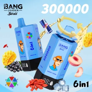 Compact Portable Bang 300K Best Disposable 2026