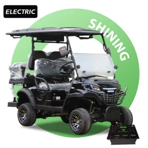 Shininglsv 48V Electric