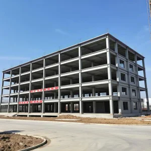 Earthquake Resistant Steel Structure