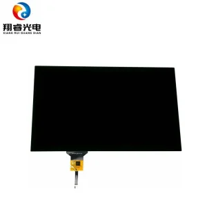 Custom 15.6 inch industrial-grade Capacitive touch panel