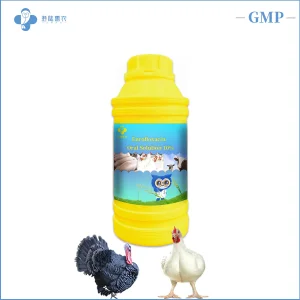 Custom Label Veterinary Pharmaceutical Chicken Material Vet Medicine Enrofloxacin Oral Solution 10% 20% Veterinary Medicine for Chicken Poultry