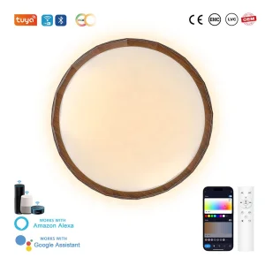 Tuya Smart LED Ceiling Light 48W