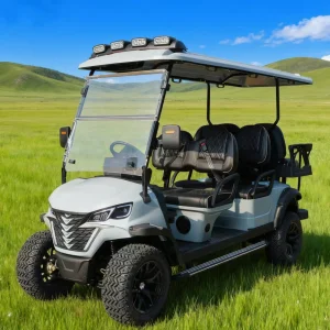 Carrinho de Golfe Elétrico Pesado Lvzo com Suporte de Carga