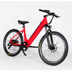Bicicleta Elétrica Masculina e Feminina