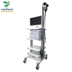 Video Endoscope System