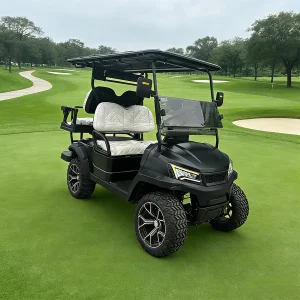Four Passenger Golf Cart with 20-25 Hill Climb and 12 Inch Tires for Resort and Community