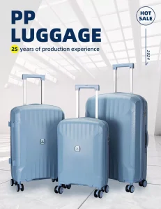 PP Luggage B089
